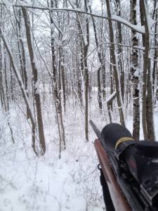 On the look out! Minutes before I shot a nice doe. 