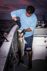 Capt. Kelly Crunch himself 