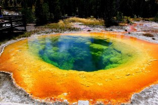 Morning Glory- Yellowstone