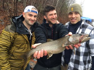 Nice healthy lake trout caught in Massachusetts