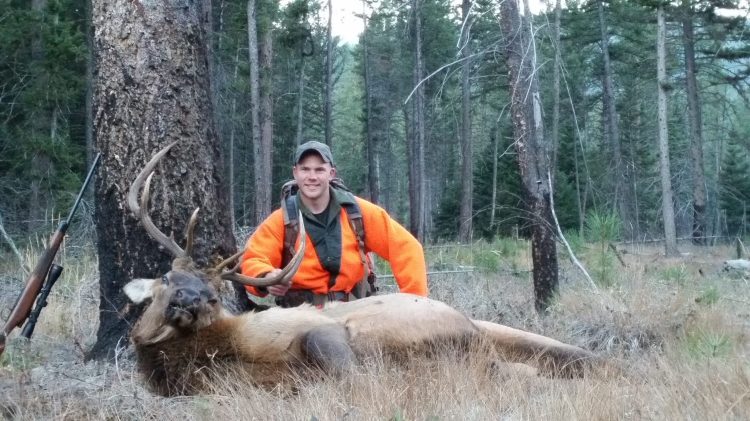 Bearman with a nice Montana bull on a do it yourself public land hunt